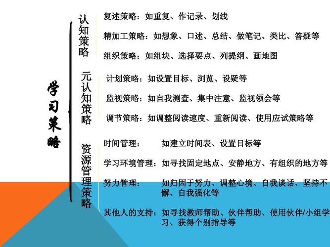 持续学习和适应策略 - 天龙八部sf,天龙八部发布网,天龙八部私服发布网,天龙sf,天龙私服